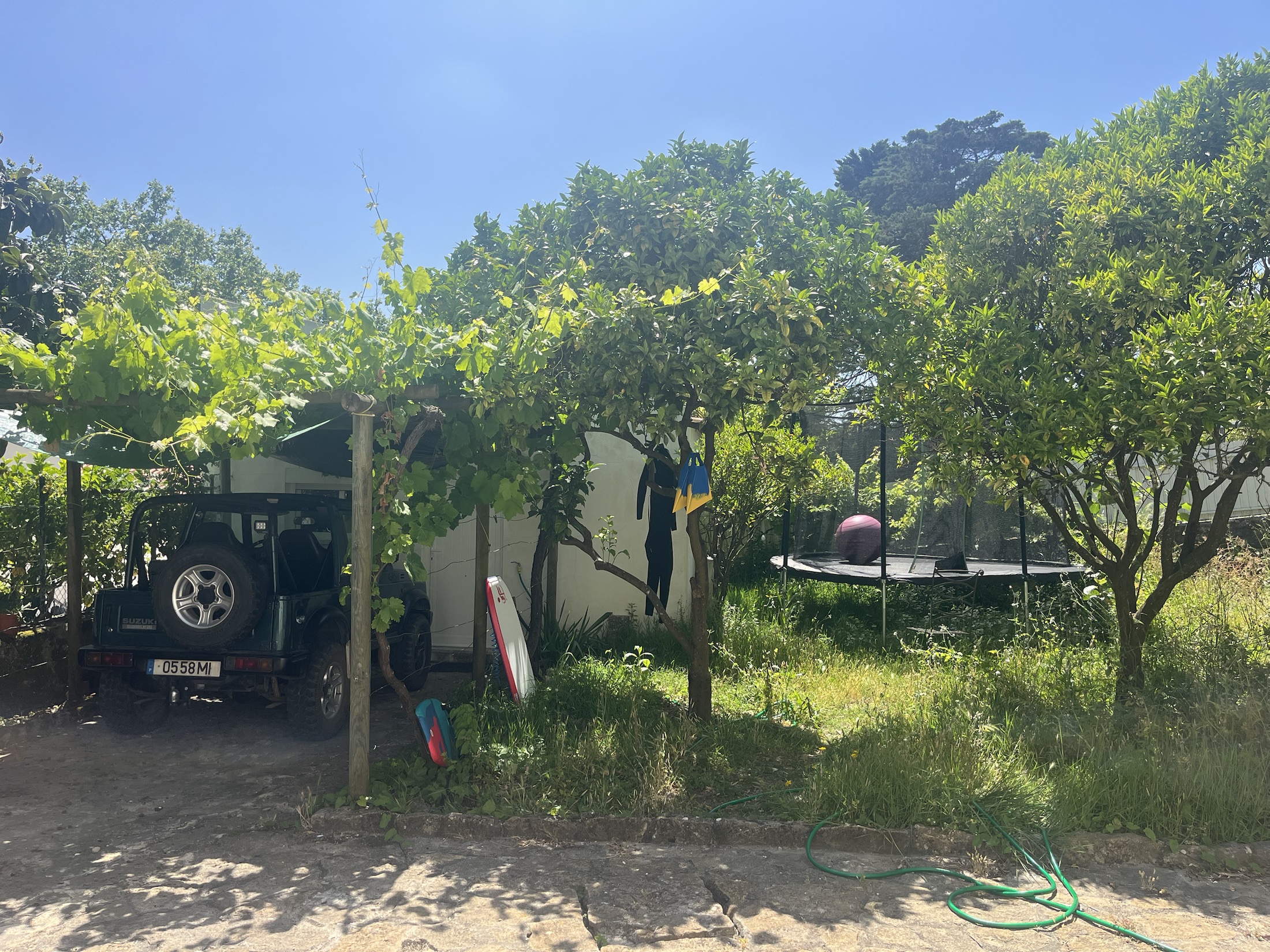 Garden with trees, surfboards and the Suzuki under a vine-covered pergola