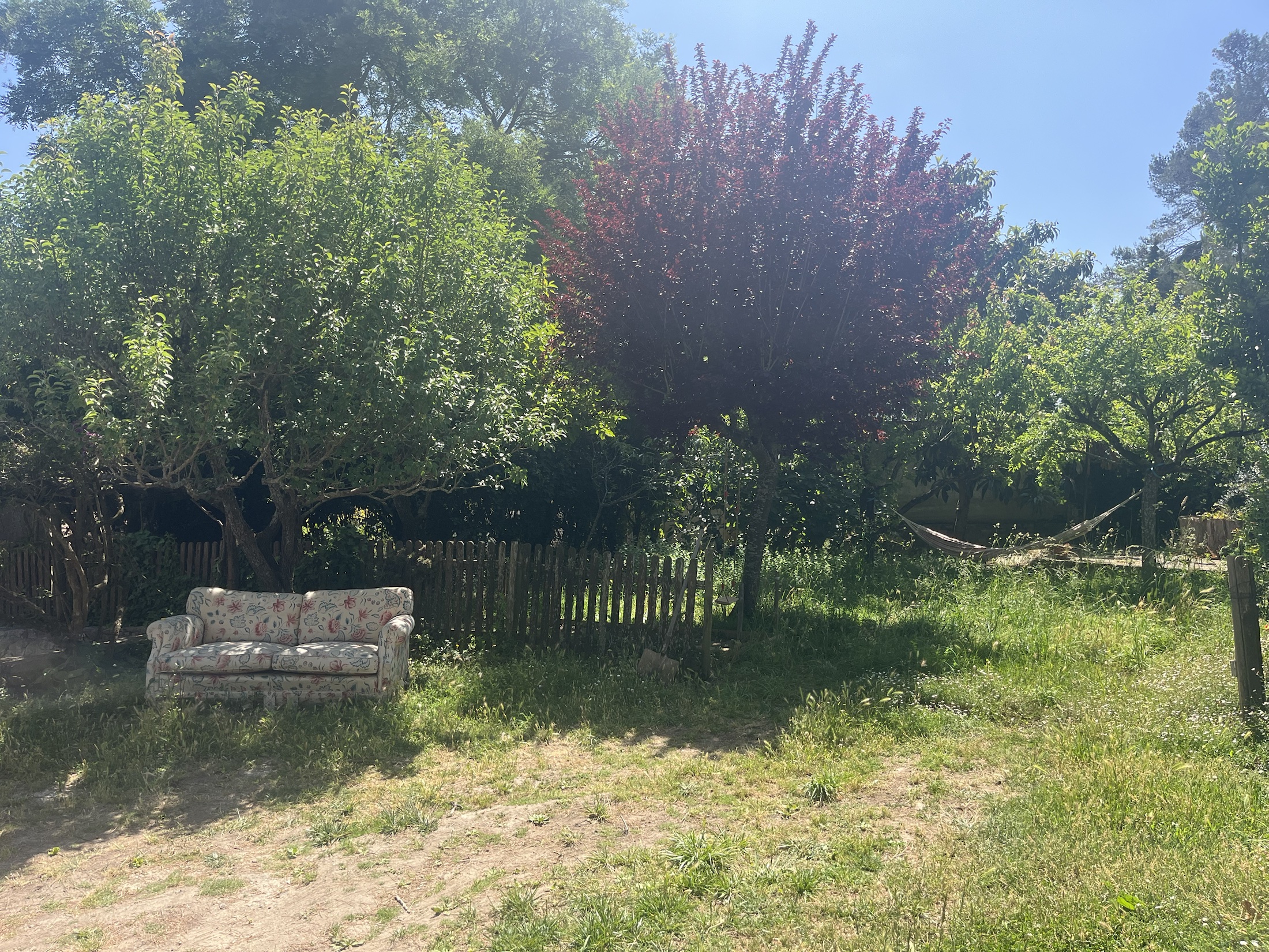 Sunny garden with outdoor sofa, trees and hammock