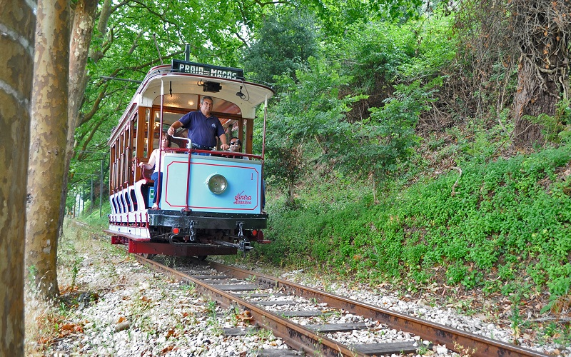 Historic Sintra tram travelling through green woodland